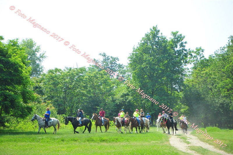 DSC_0923.JPG